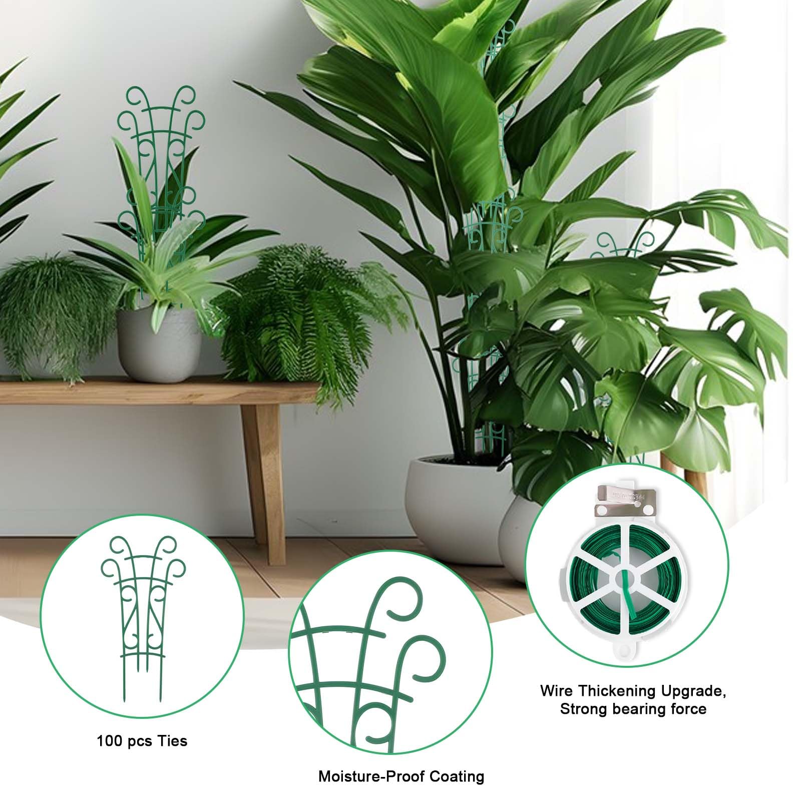 Qaobo potted plant support trellis helps vines climb toward sunlight gracefully.