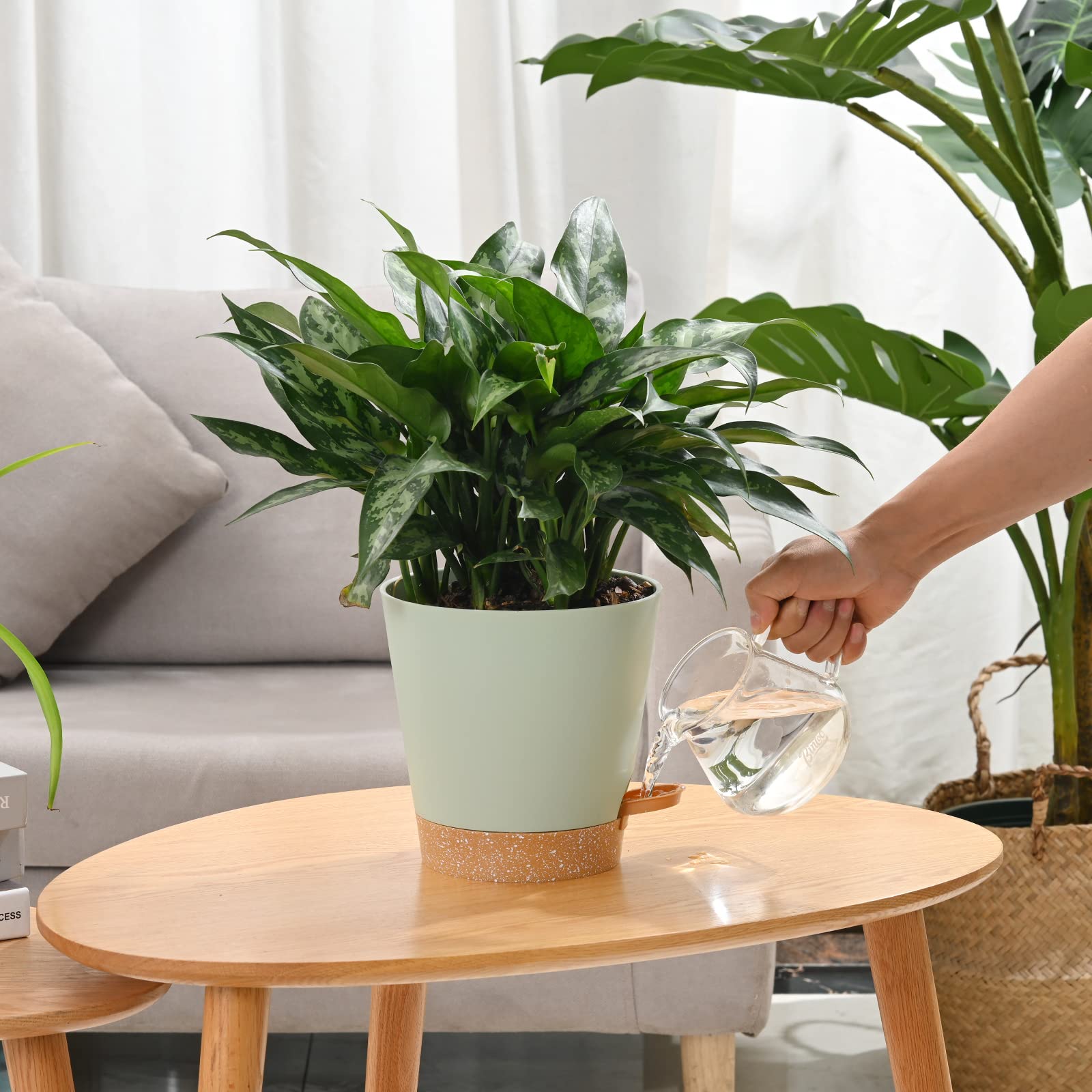 Qaobo reservoir tray self-watering system supports steady moisture for roots.