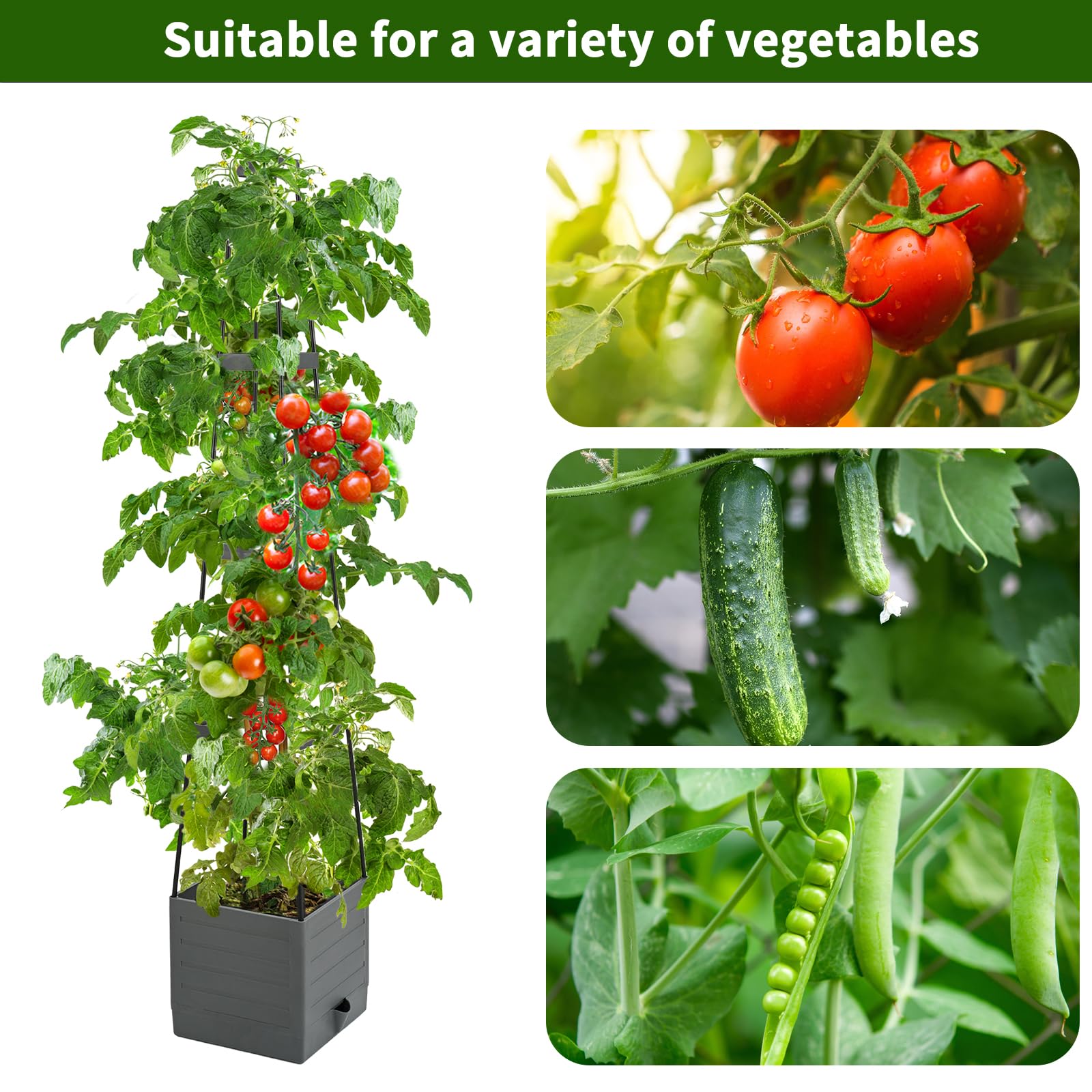Qaobo self-watering planter with bottom reservoir for consistent moisture
