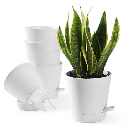 Qaobo self-watering pots front view for effortless indoor plant care