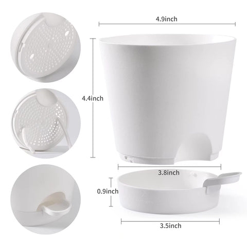 Qaobo six-pack reservoir tray top view showcases convenient watering setup