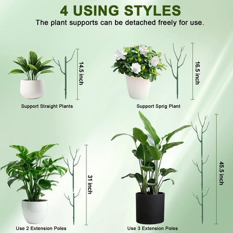 Qaobo stackable stake provides philodendron support for sturdy growth