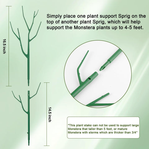 Qaobo stackable stake promotes pothos vertical growth in pots
