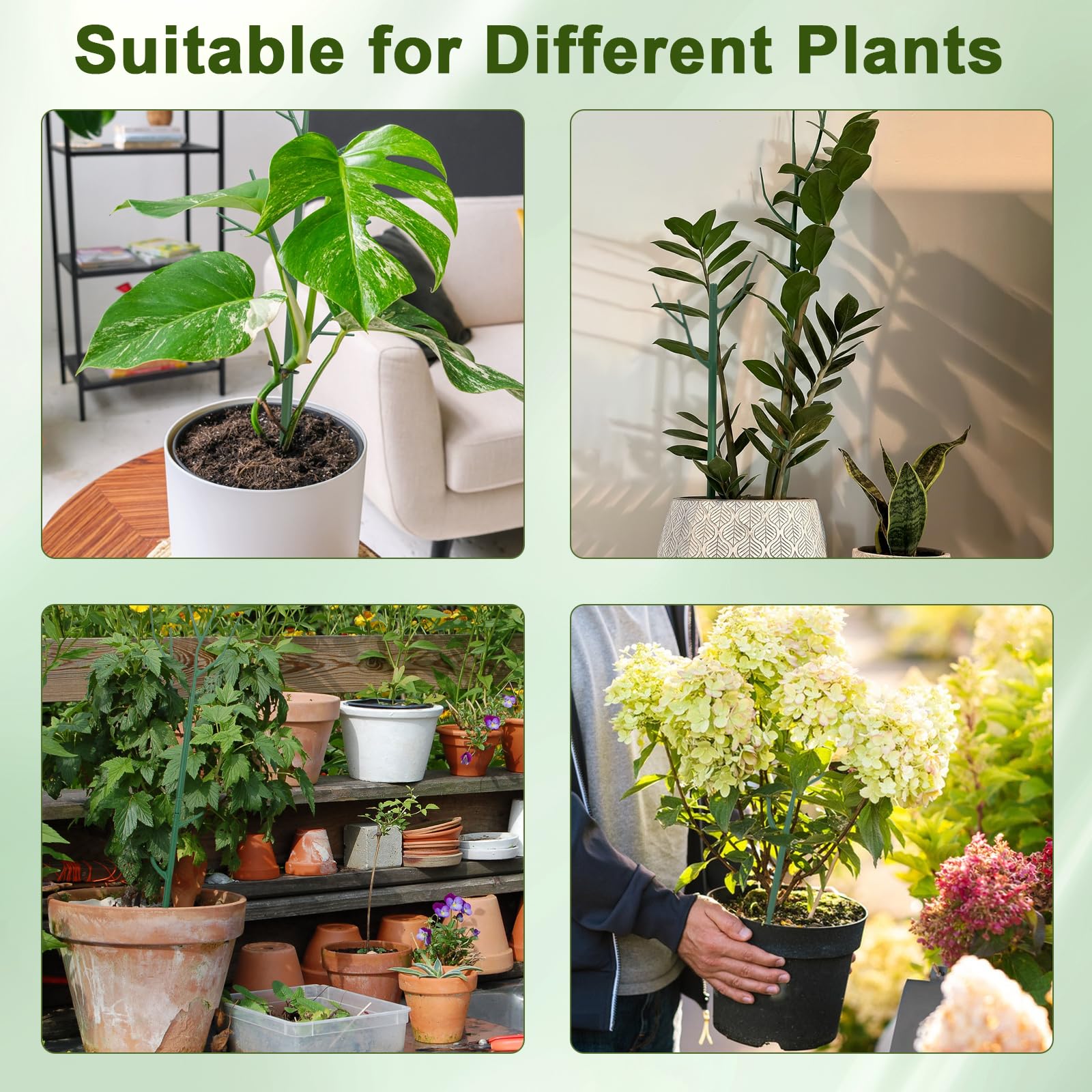 Qaobo stackable stake helps variety of plants climb gracefully