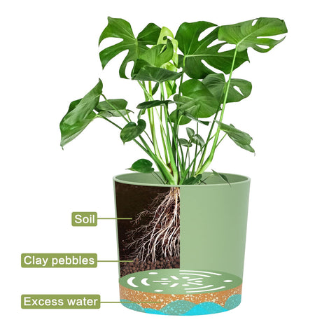 QCQHDU 10-inch planter combines sturdy plastic and modern color for bright living spaces.