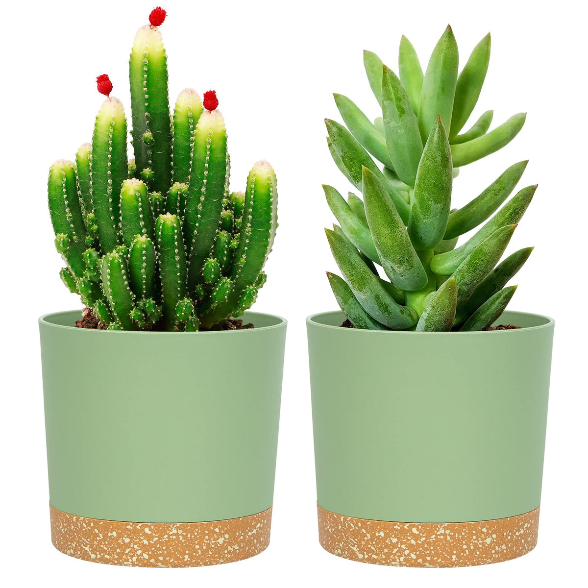 QCQHDU 5-inch plant pot with drainage holes for healthy root moisture management.