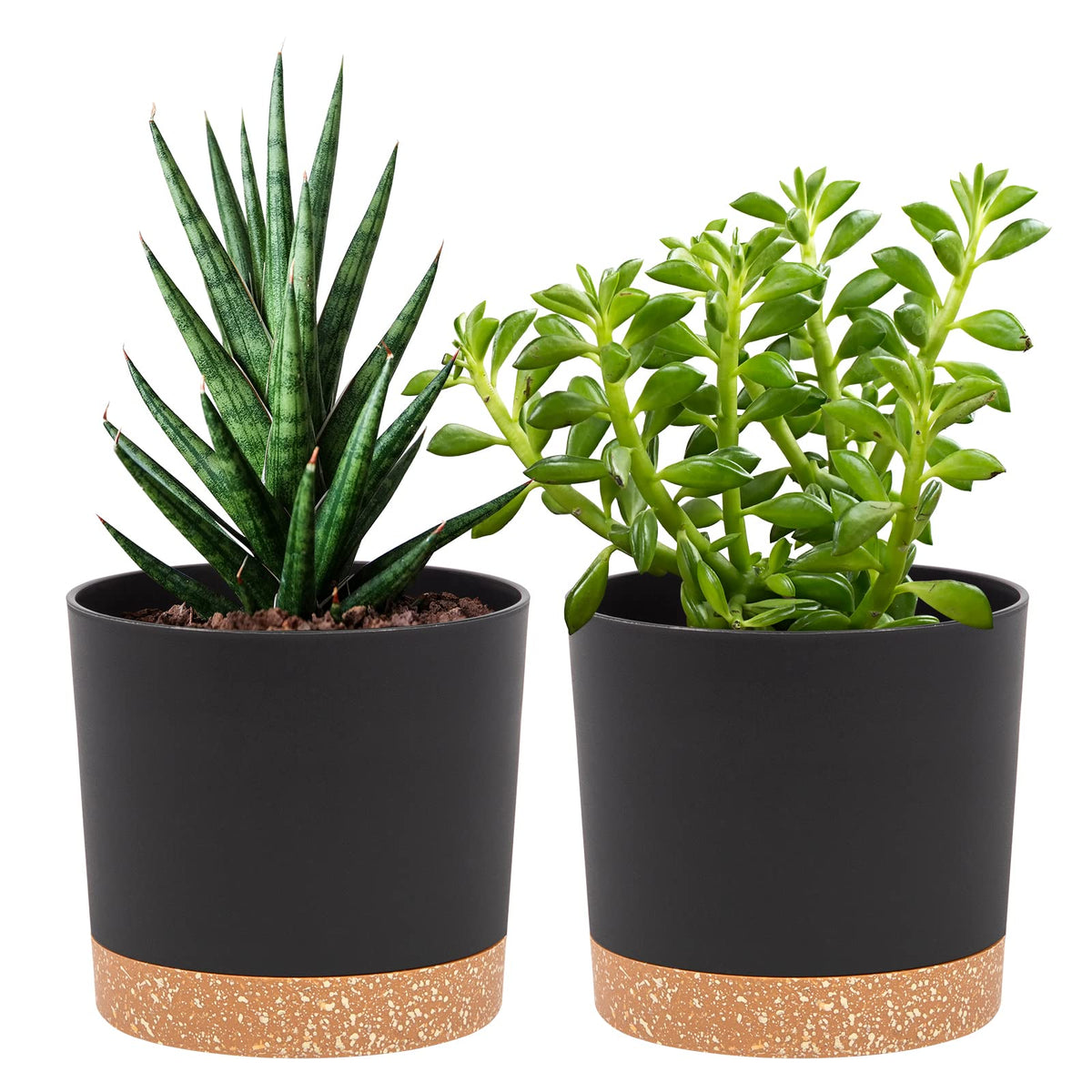 QCQHDU 5-inch pot with modern design for stylish indoor decor.