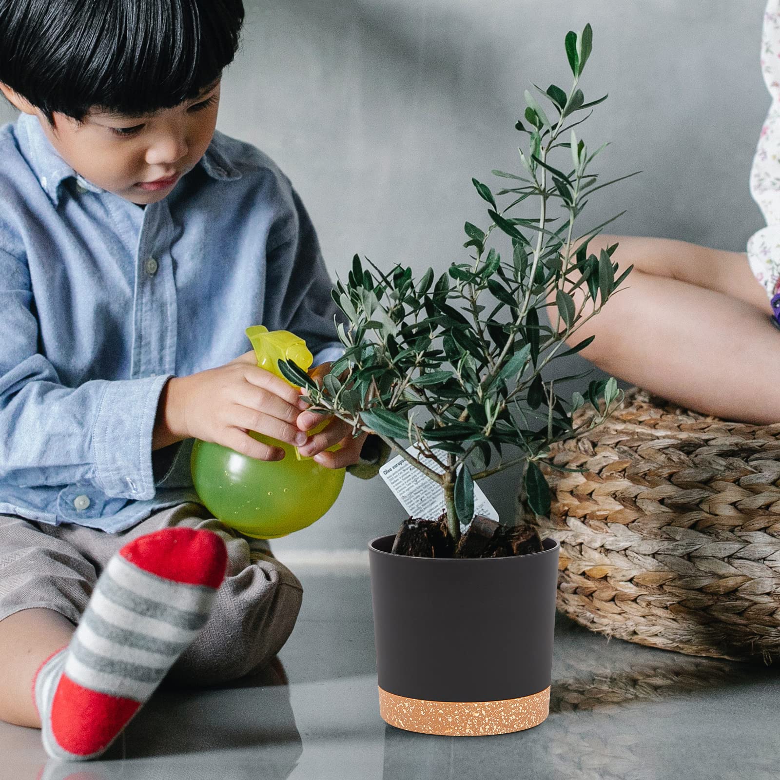 QCQHDU 5-inch pot pairs well with herbs and succulents.
