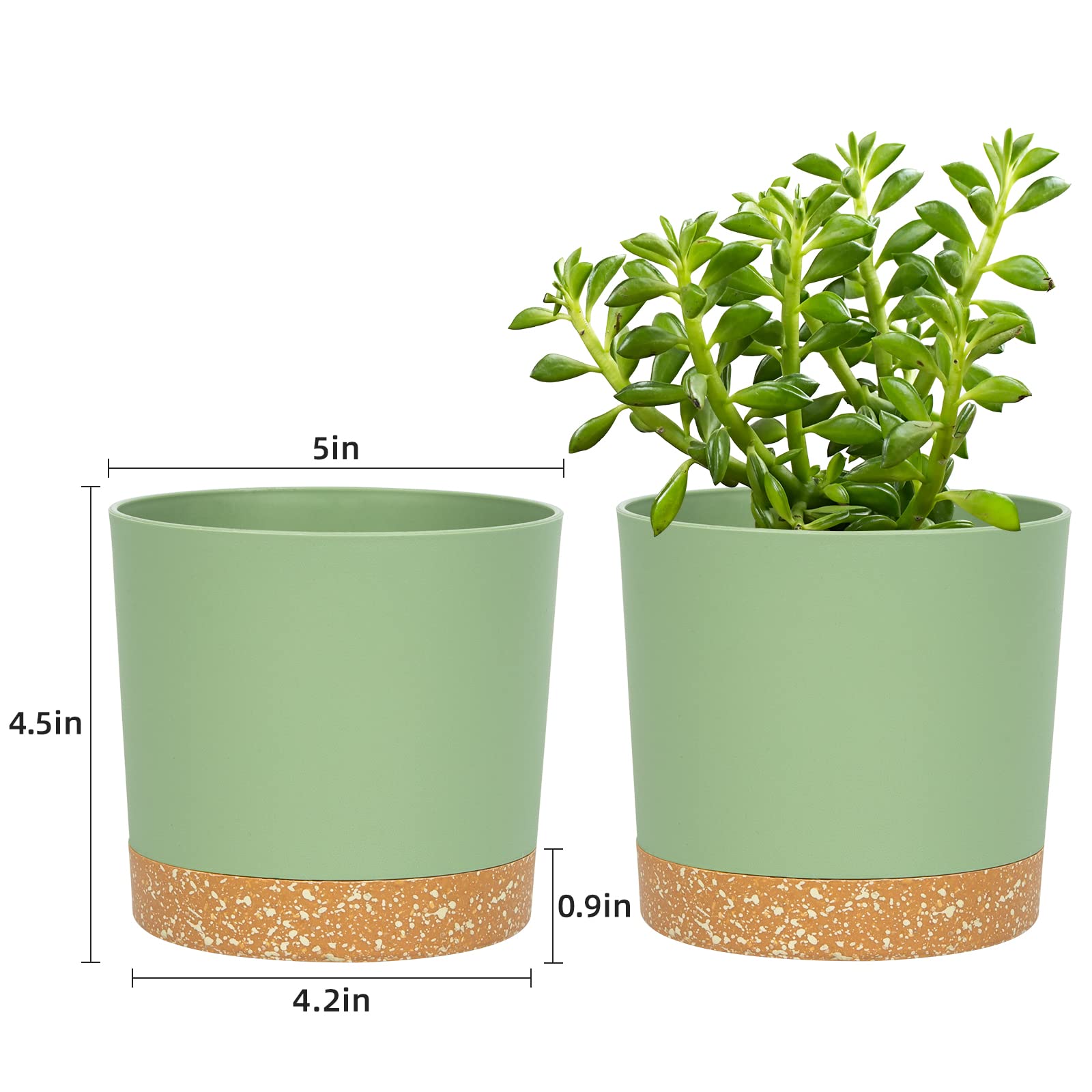 QCQHDU 6-5-inch plant pot showcases modern minimalism for desk or shelf.