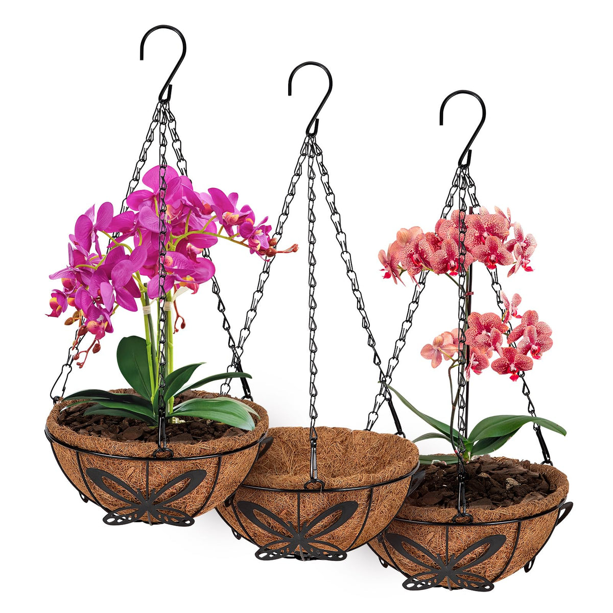 QCQHDU 8-inch hanging orchid basket with chains for secure outdoor display.