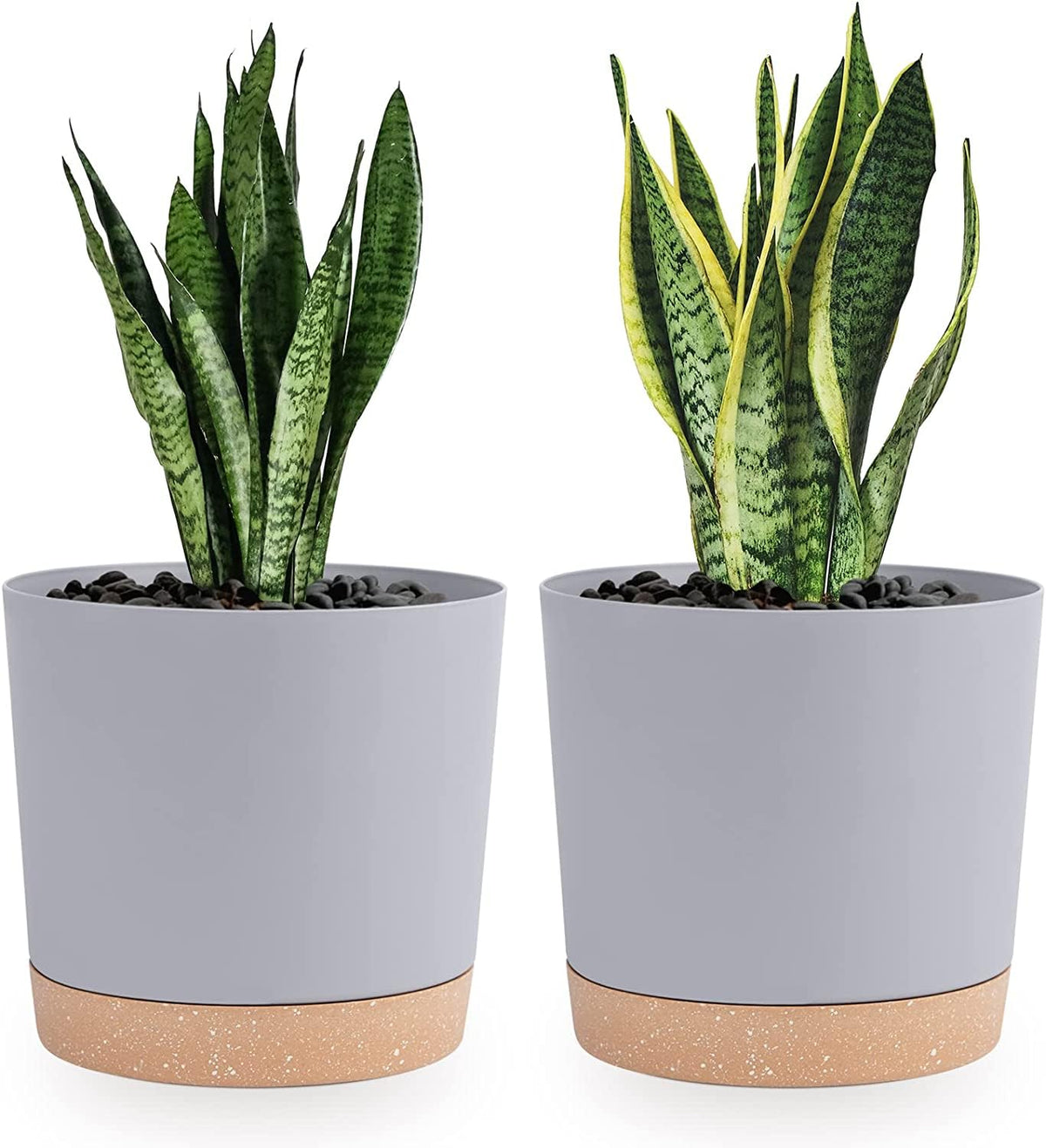 QCQHDU 8-inch plant pot with drainage hole and saucer to prevent overwatering.