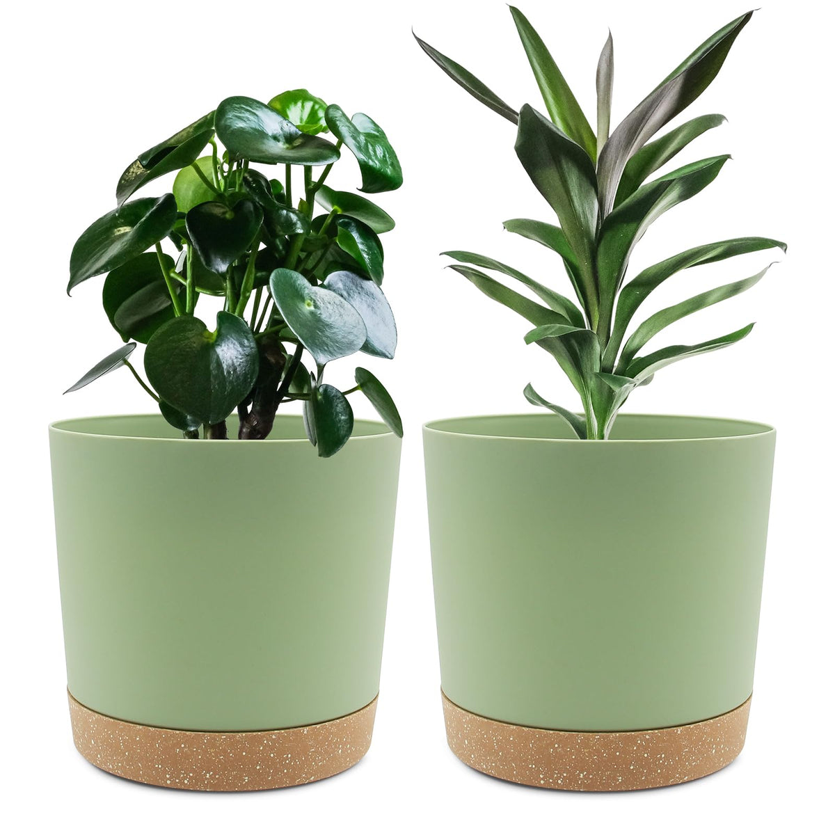 QCQHDU 8-inch plant pot front view for a clean minimalist indoor look.