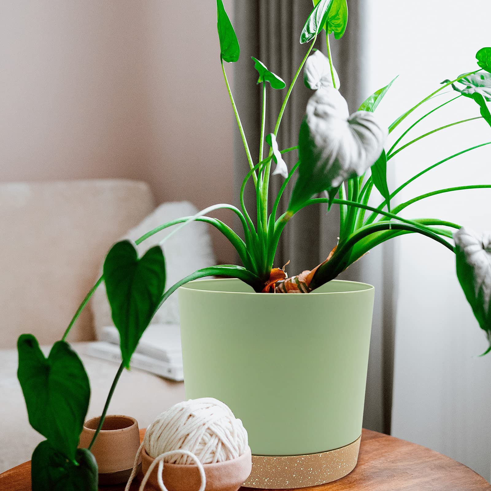 QCQHDU 8-inch plant pot in home decor setup for versatile placement.