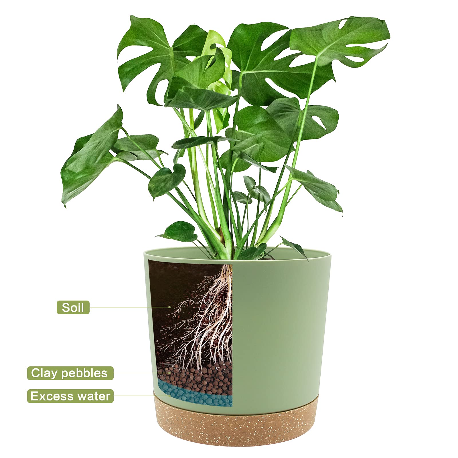 QCQHDU 8-inch plant pot saucer closeup demonstrates spill prevention.