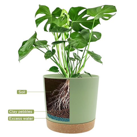 QCQHDU 8-inch plant pot saucer closeup demonstrates spill prevention.