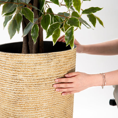 QCQHDU planter with drainage holes helps prevent overwatering.