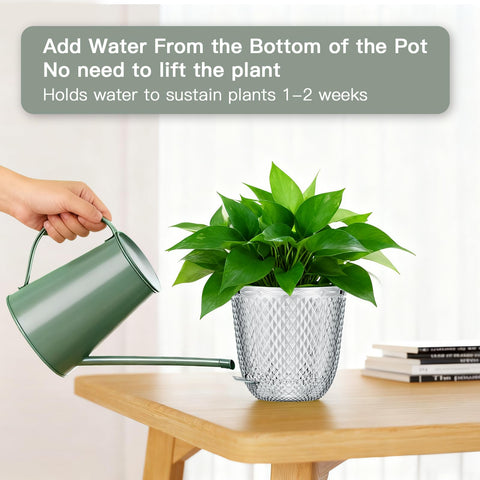 QCQHDU cotton-rope wick keeps soil consistently moist for longer