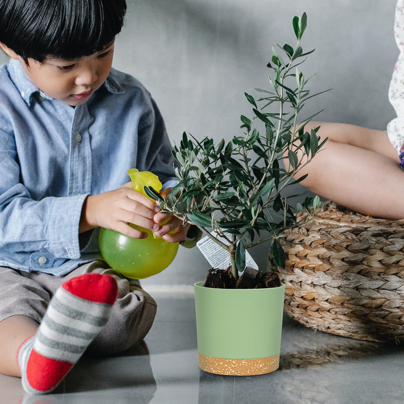 QCQHDU drainage-hole pot with saucer reduces spills and keeps surfaces tidy.