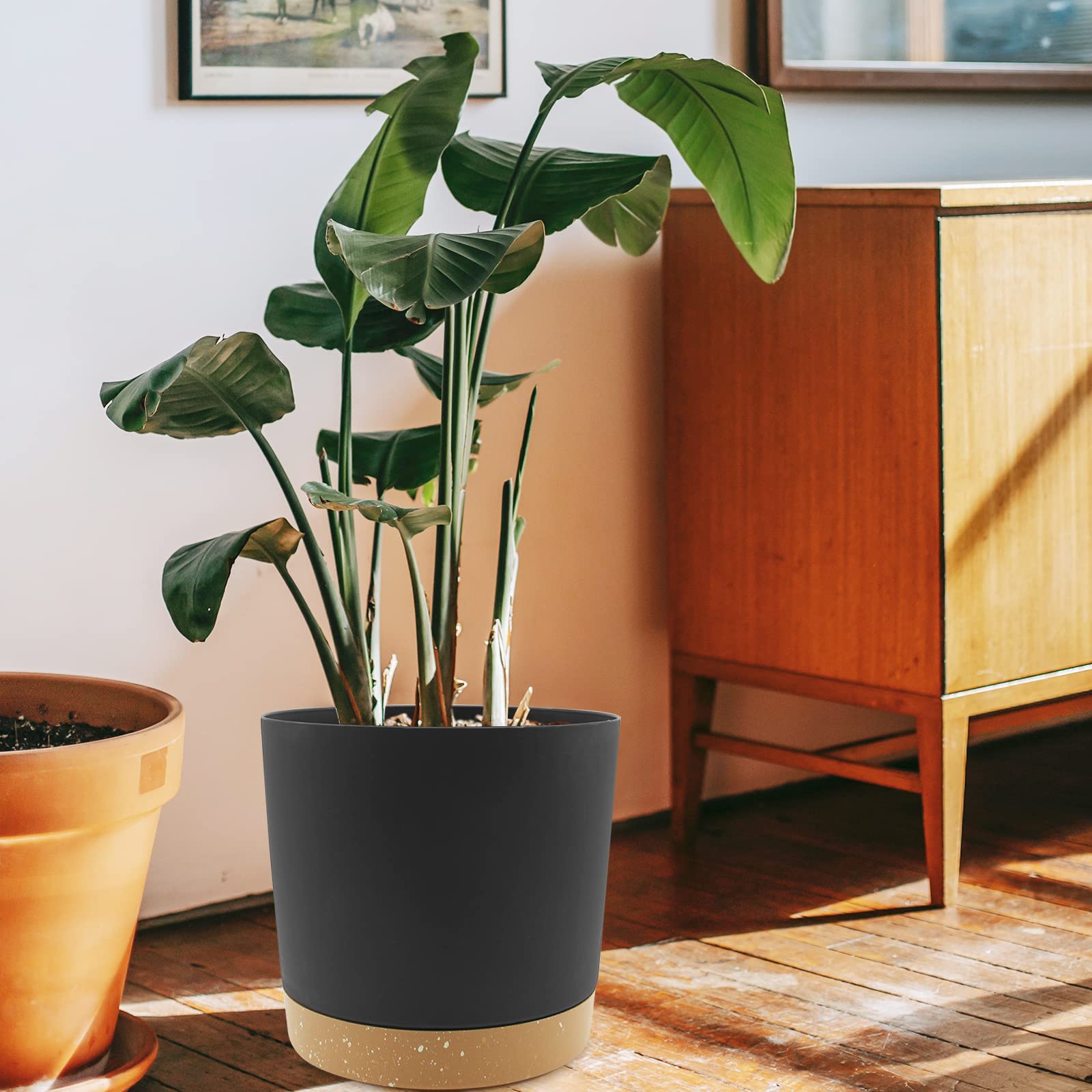 QCQHDU home garden decor planter to enhance living spaces.