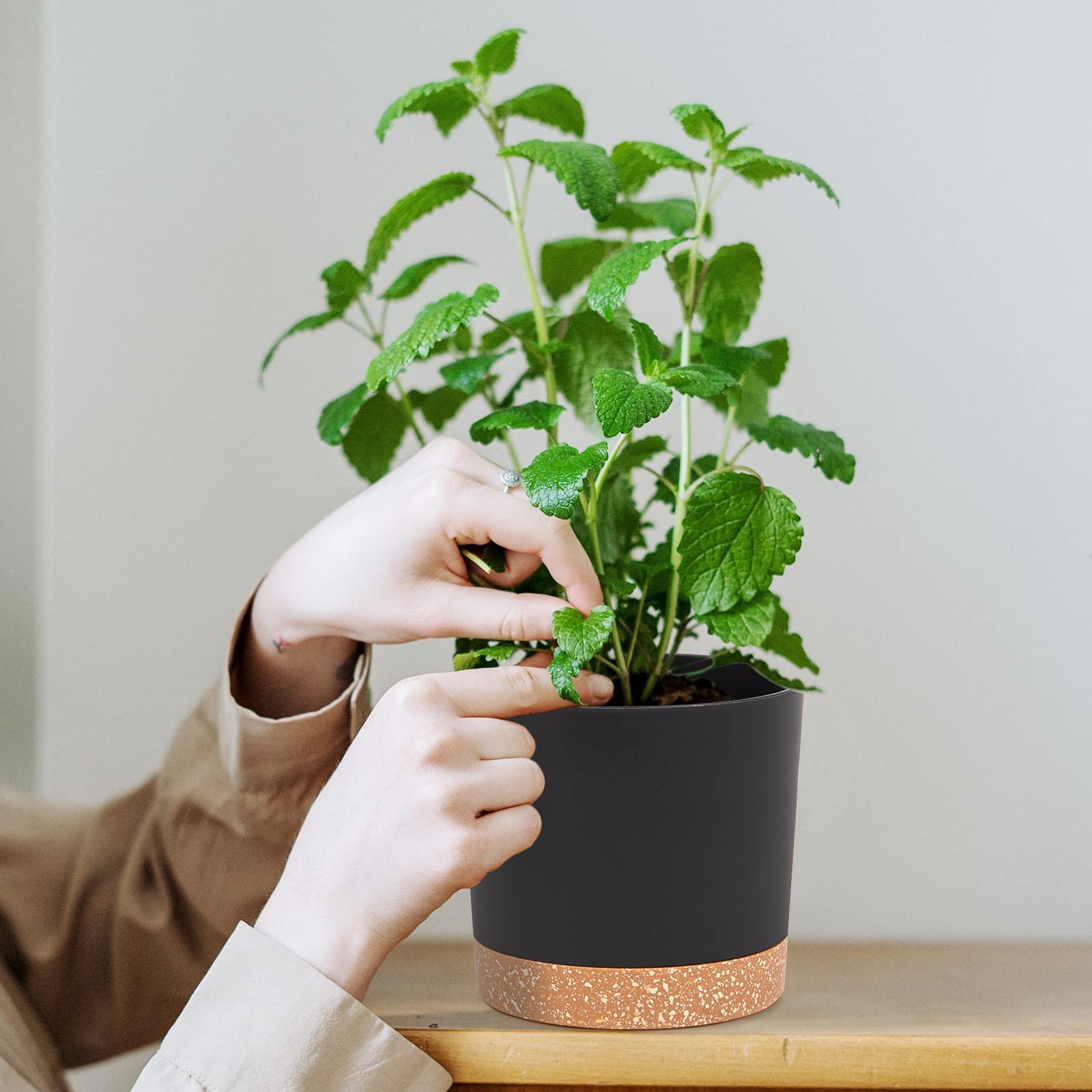 QCQHDU home garden decor adds minimalist charm to any space.