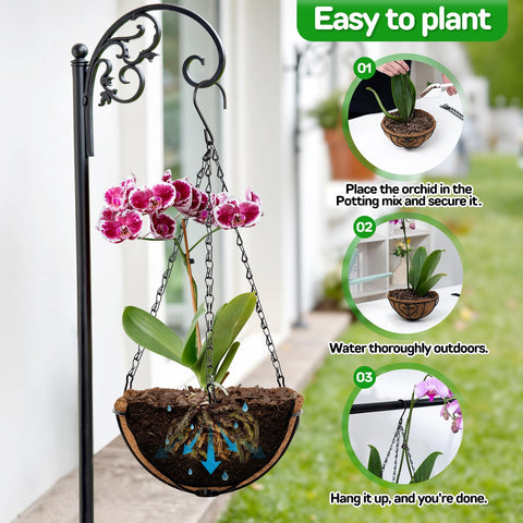 QCQHDU metal-frame orchid planter for durable outdoor hanging use.