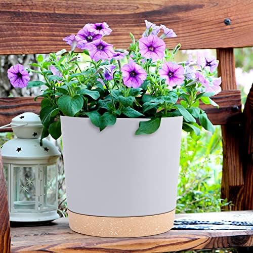 QCQHDU modern decor plant pot enhances home and office spaces.