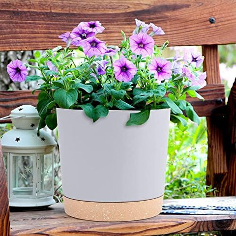 QCQHDU modern decor plant pot enhances home and office spaces.