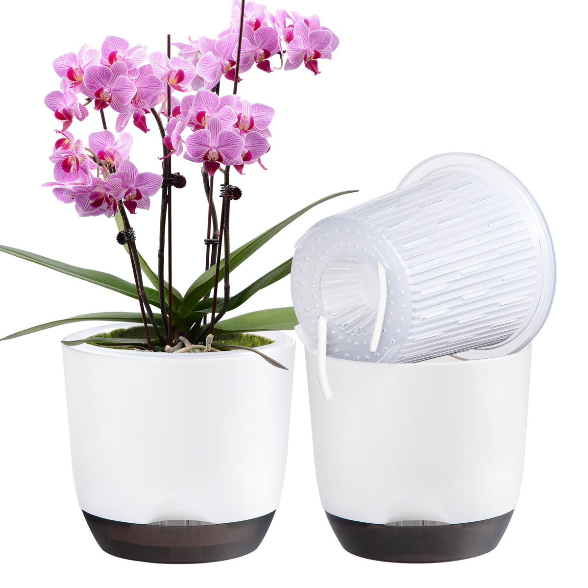 QCQHDU orchid pot dual-layer design on a tabletop enhances display and airflow.