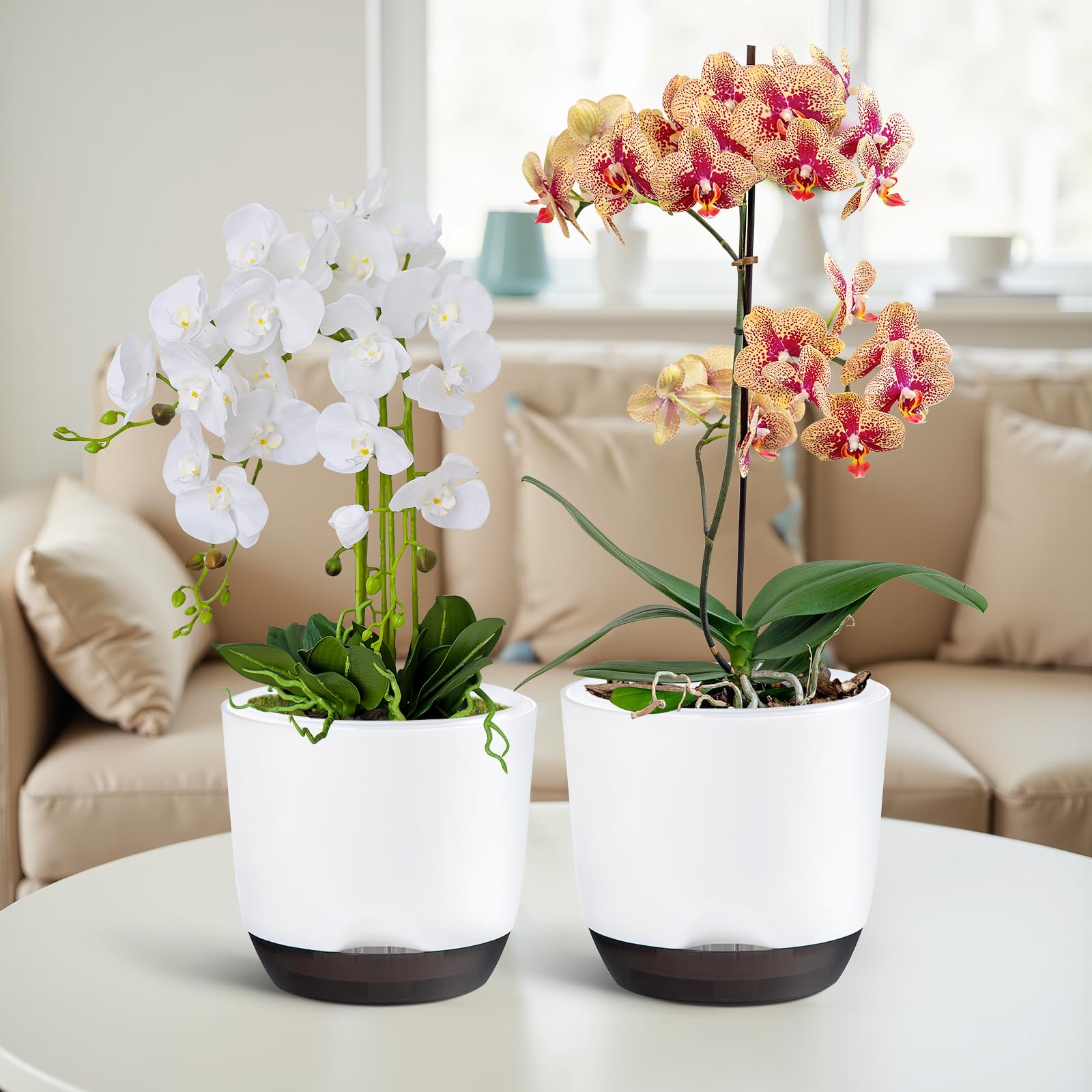 QCQHDU orchid pot self-watering design saves maintenance and reduces watering guesswork.