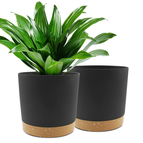 QCQHDU 10-inch plant pot with drainage holes and saucer for mess-free indoor use.