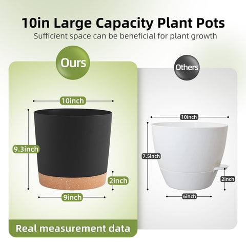 QCQHDU minimalist 10-inch planter for indoor and outdoor spaces.