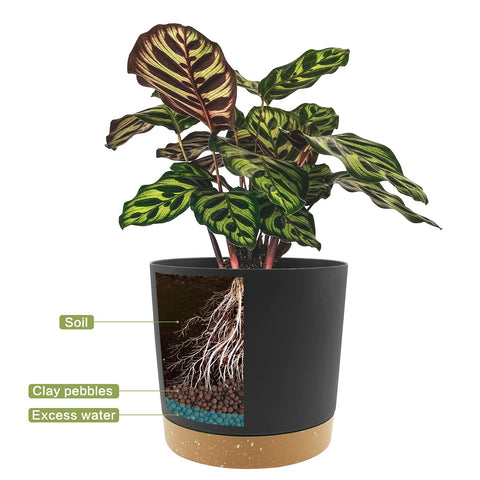 QCQHDU sturdy polypropylene planter with thick walls for plants.