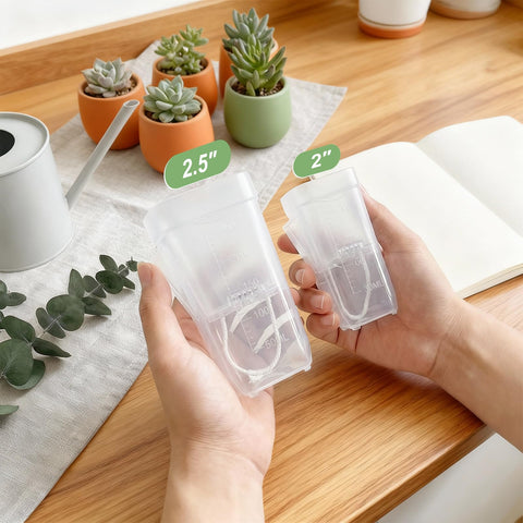QCQHDU propagation-ready mini pot ideal for seed starting and cuttings.