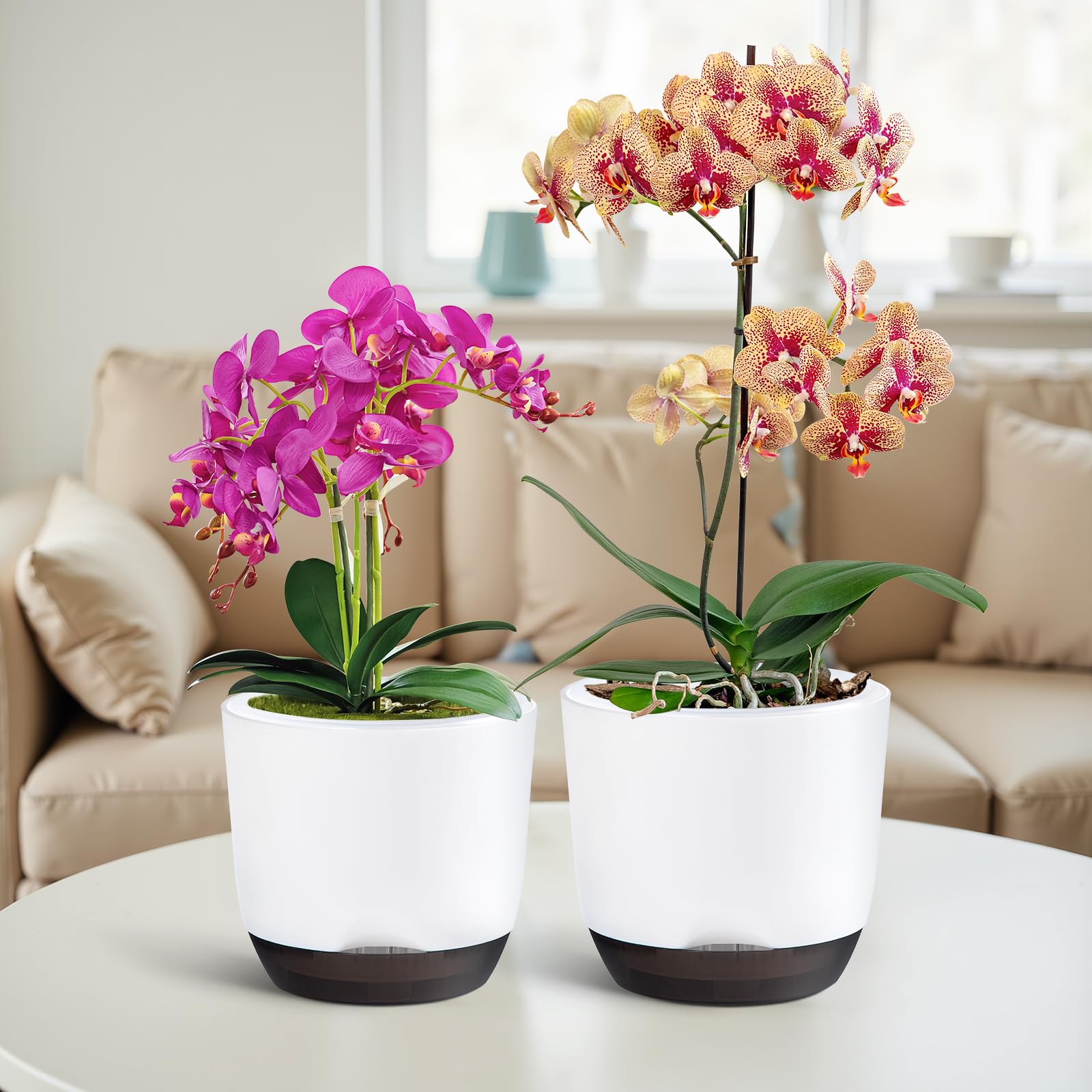 QCQHDU self-watering orchid pot maintaining balanced moisture.