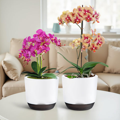 QCQHDU self-watering orchid pot maintaining balanced moisture.