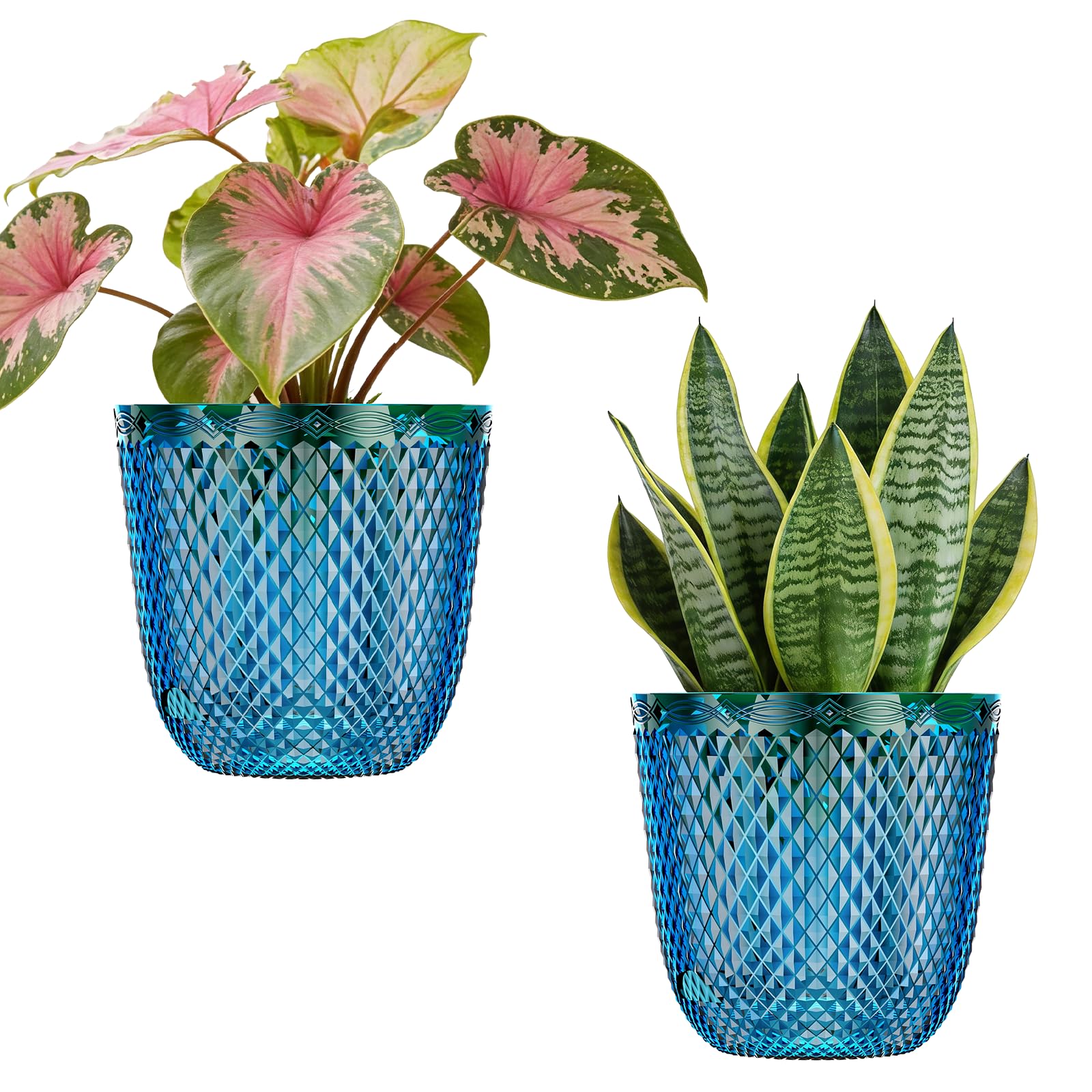 QCQHDU self-watering pot in Klein Blue shown as an indoor-outdoor planter