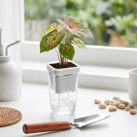 QCQHDU side-refill design enables water addition without disturbing plants.