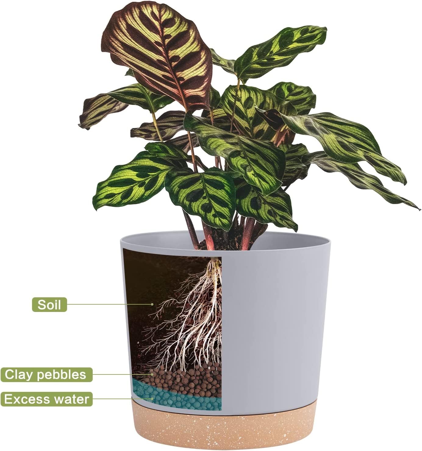 QCQHDU variety of sizes plant pots lets you tailor your indoor garden.