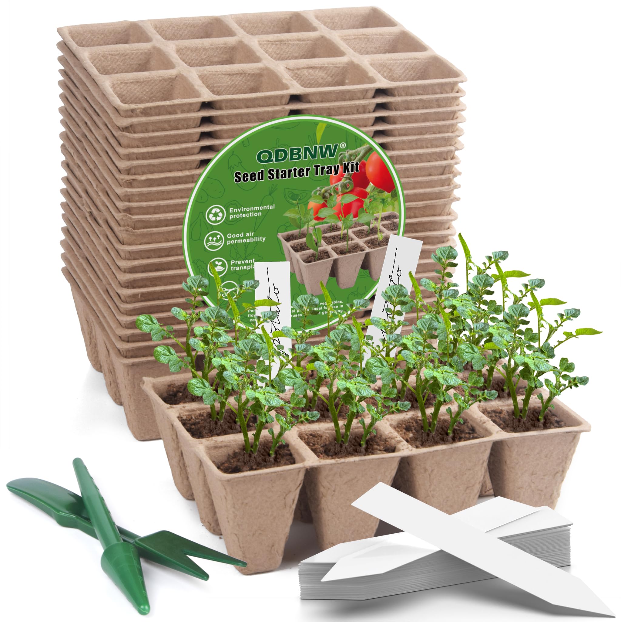 QDBNW 240-cell seed starter tray kit ready for germination and transplanting
