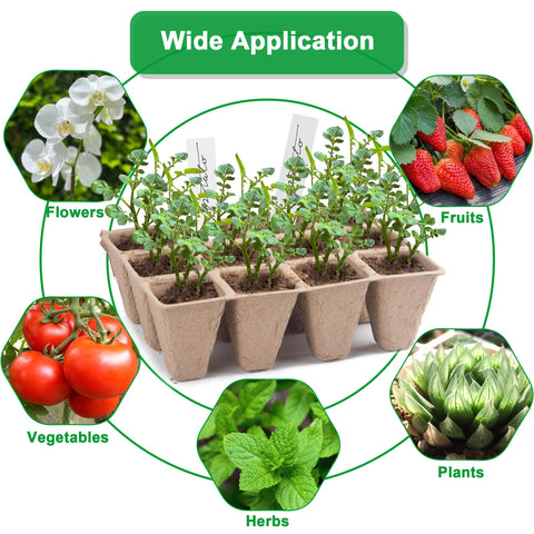 QDBNW seedling trays made from recycled paper enrich soil nutrients