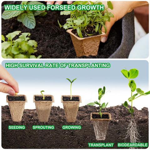 QDBNW stackable trays maximize space and organization for seedlings