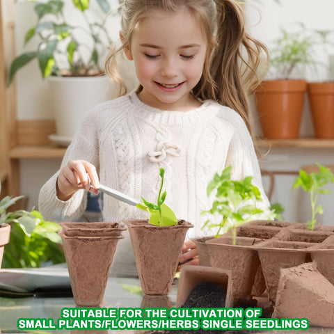 QDBNW seedling trays feature drainage holes to prevent overwatering