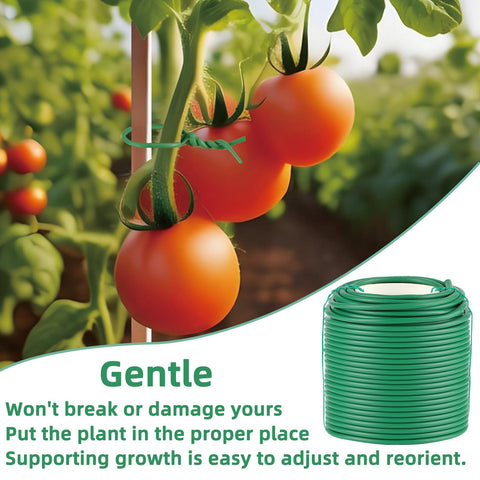 QenFree roses-vines wrap provides tidy, sturdy support for climbers.