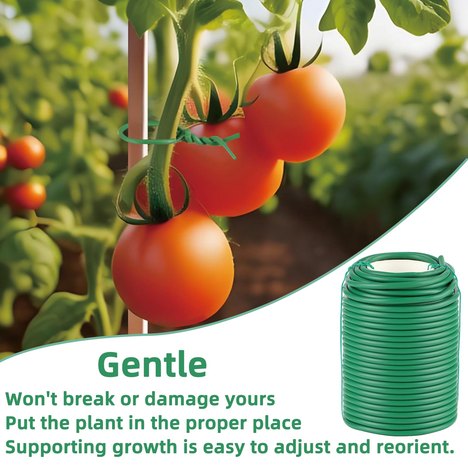 QenFree tomato vine support ties keep fruiting stems upright.