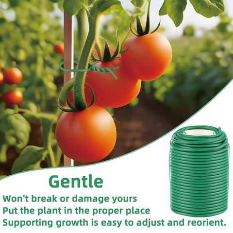 QenFree tomato vine support ties keep fruiting stems upright.
