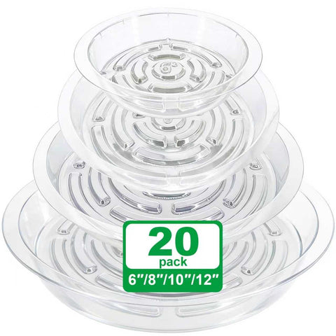 qeqanazo clear 6-inch plant saucer under pot protects floors from excess water