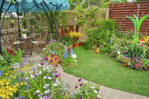 QEVJEKR pollinator-friendly wildflowers support bees and butterflies in home yards.