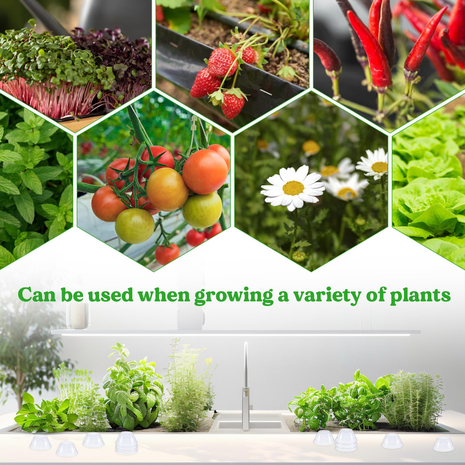 Qfwdfctrenz hydroponic seed start dome in use supports efficient germination.