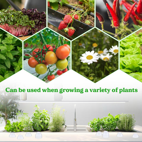 Qfwdfctrenz hydroponic seed start dome in use supports efficient germination.