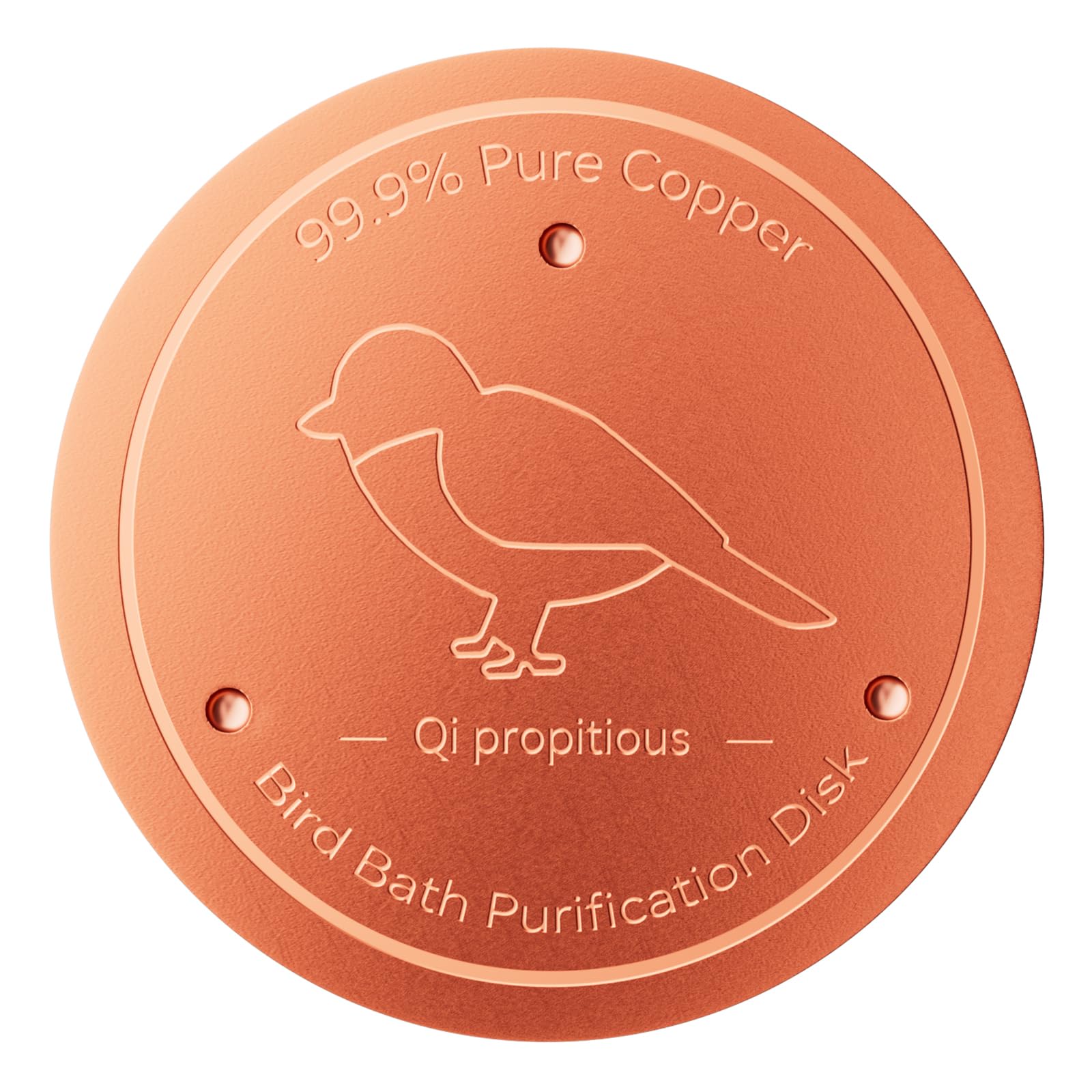Qi propitious copper disk close-up shows 1mm thickness for durable outdoor use.
